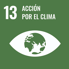 accion_clima